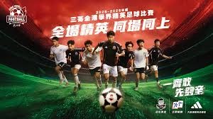 世界杯新时代的到来与影响